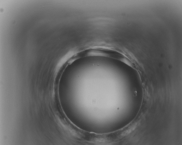 X0000062920344200601202007