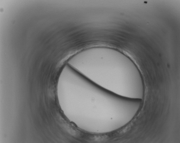 X0000062920345200601202007