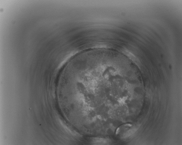 X0000062920347200601202007