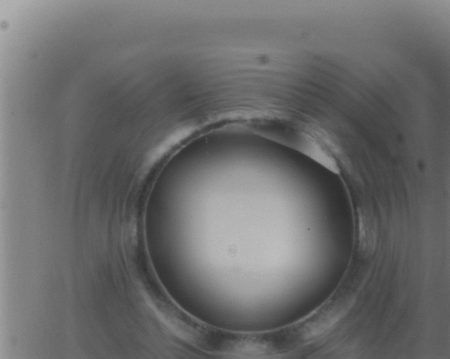 X0000062920348200601202007