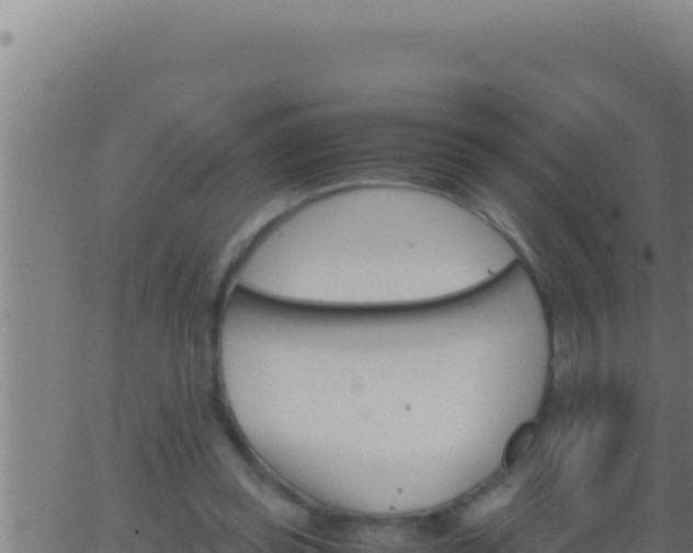 X0000062920349200601202007