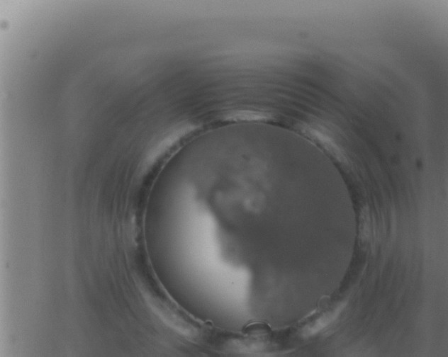 X0000062920351200601202007