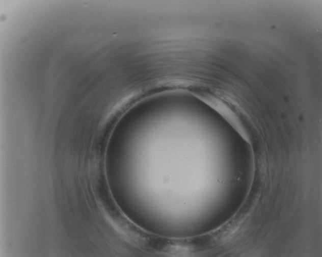 X0000062920352200601202007