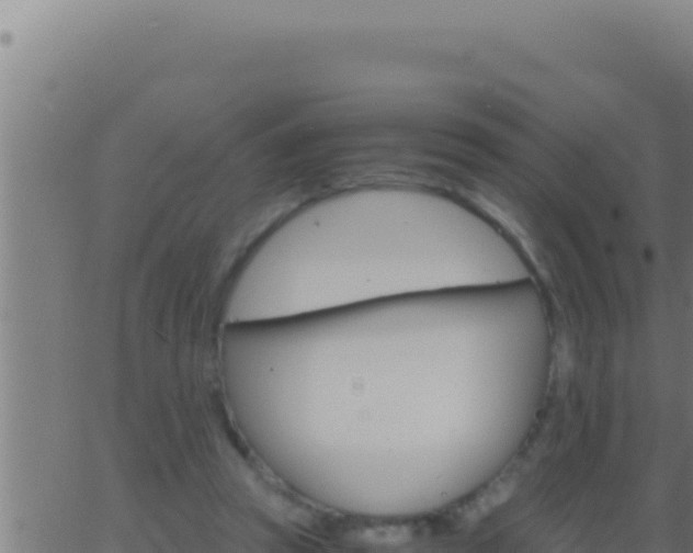 X0000062920353200601202007