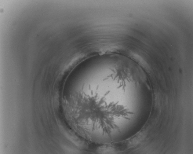 X0000062920354200601202007