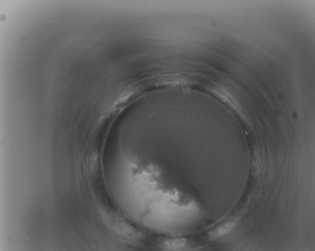 X0000062920355200601202007