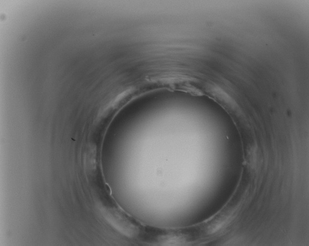 X0000062920356200601202007