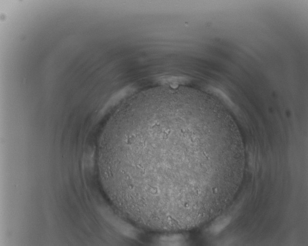 X0000062920357200601202007