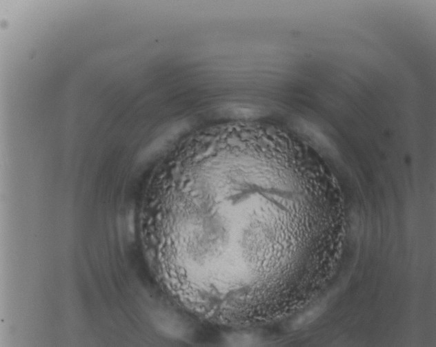 X0000062920358200601202007