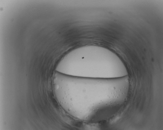 X0000062920359200601202007