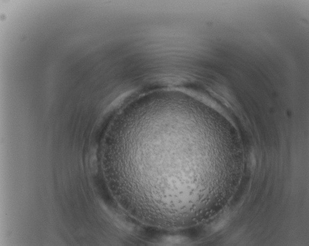 X0000062920360200601202007