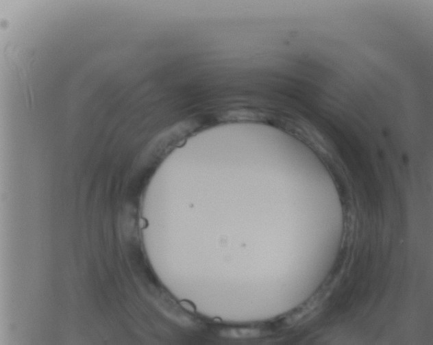 X0000062920361200601202007