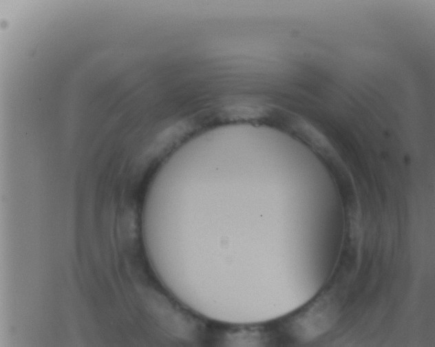 X0000062920362200601202007