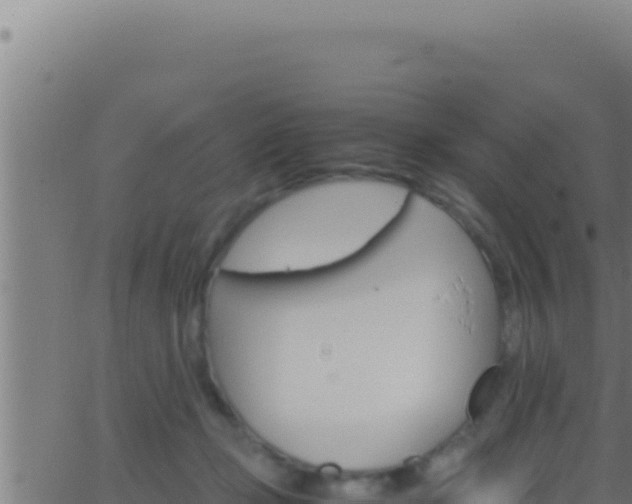 X0000062920365200601202007