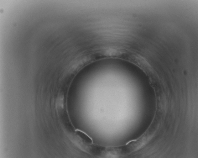 X0000062920368200601202007