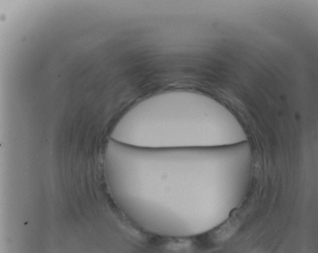 X0000062920369200601202007