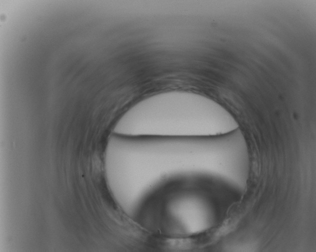 X0000062920371200601202007