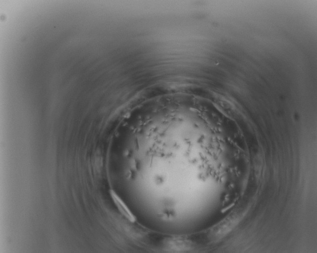 X0000062920372200601202007