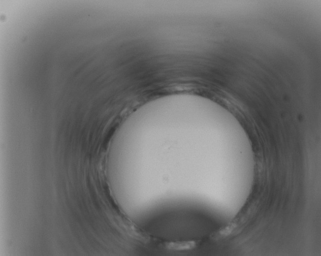 X0000062920373200601202007