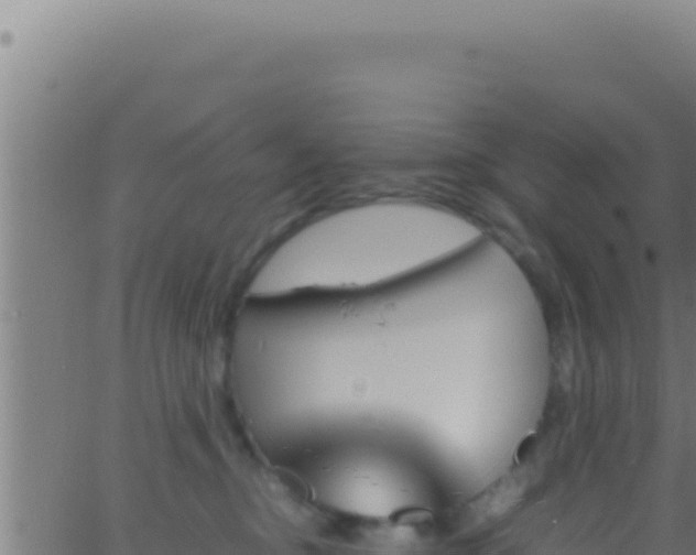 X0000062920374200601202007