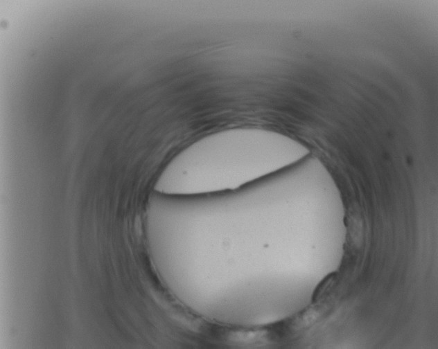 X0000062920375200601202008