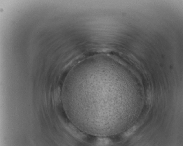 X0000062920376200601202008