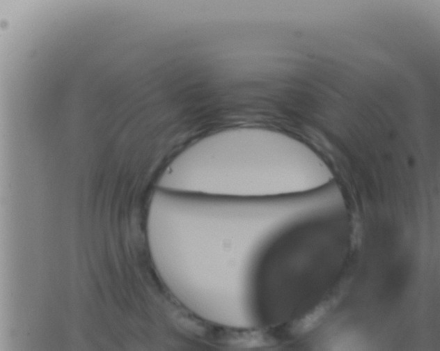 X0000062920377200601202008