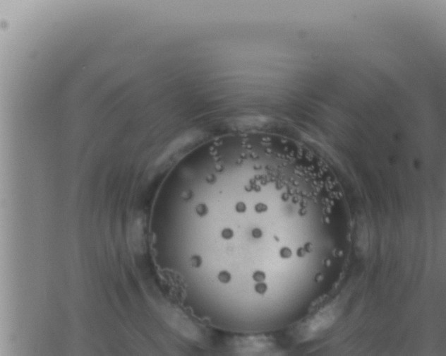 X0000062920378200601202008