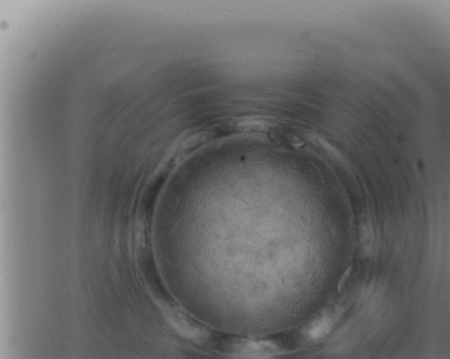 X0000062920379200601202008