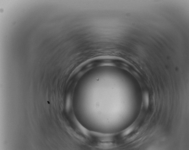 X0000062920380200601202008