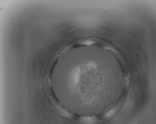 X0000062920381200601202008