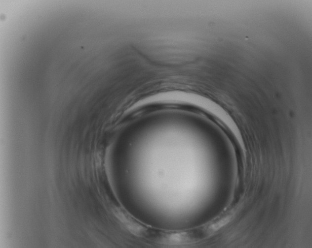 X0000062920382200601202008