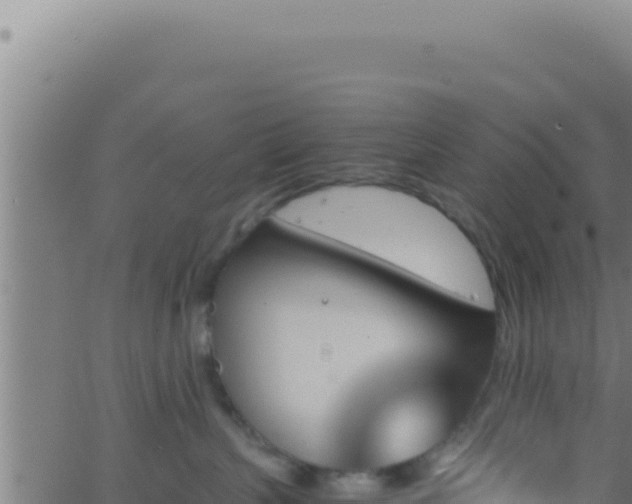 X0000062920383200601202008