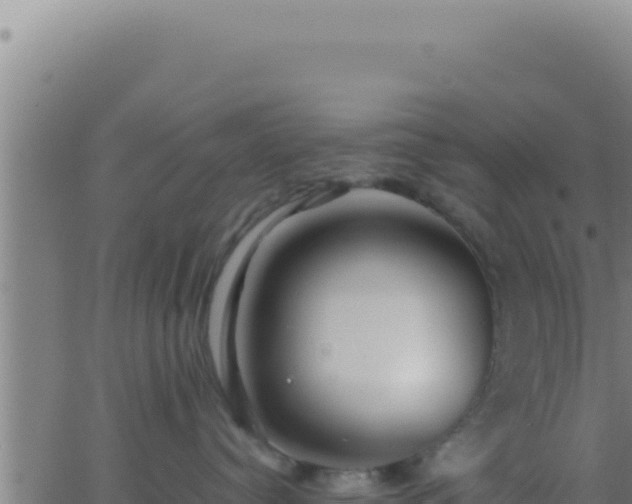 X0000062920384200601202008