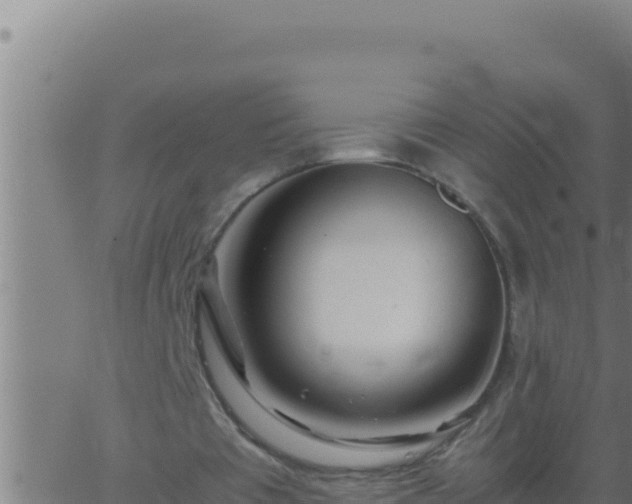 X0000062920385200601202007