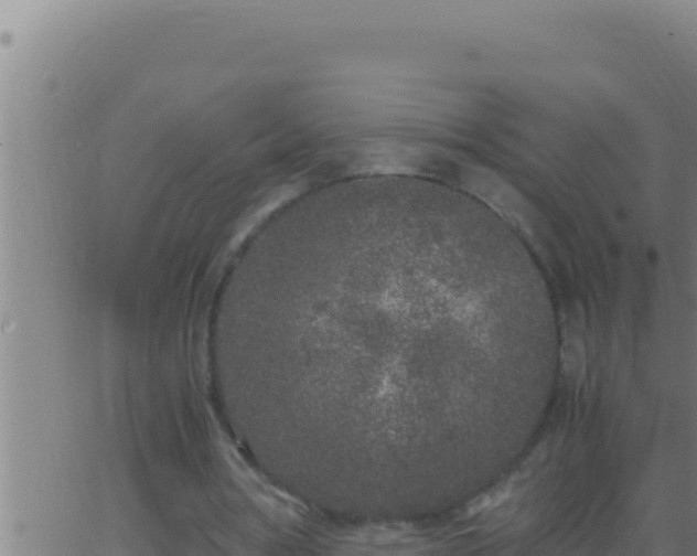 X0000062920386200601202007