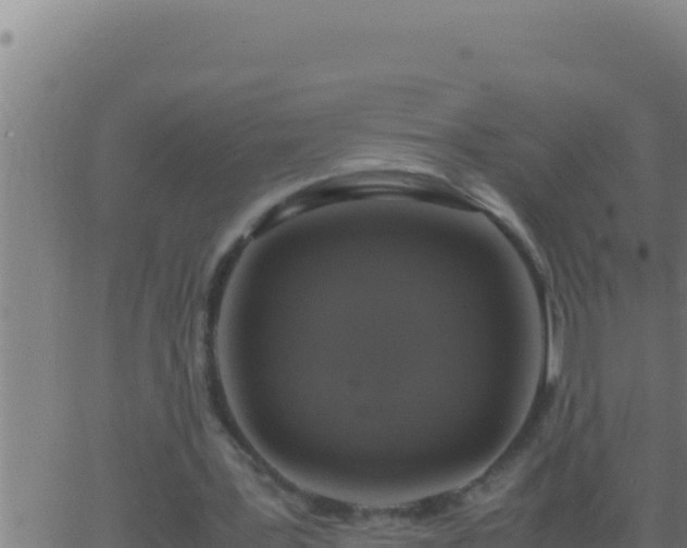 X0000062920387200601202007