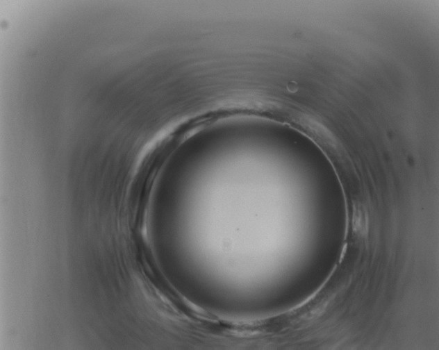 X0000062920388200601202007