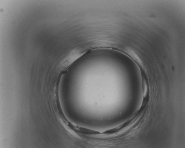 X0000062920389200601202007