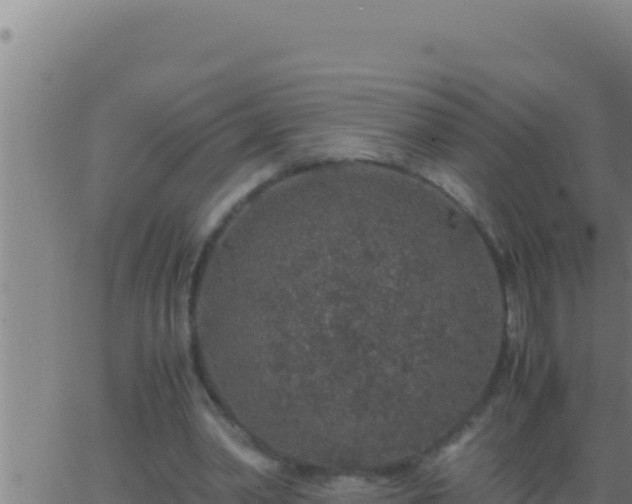 X0000062920390200601202007