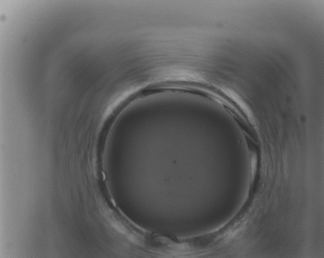 X0000062920391200601202007