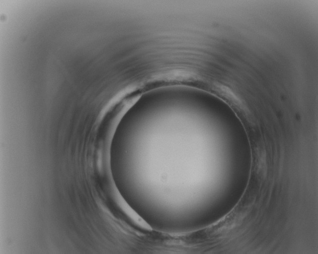 X0000062920392200601202007