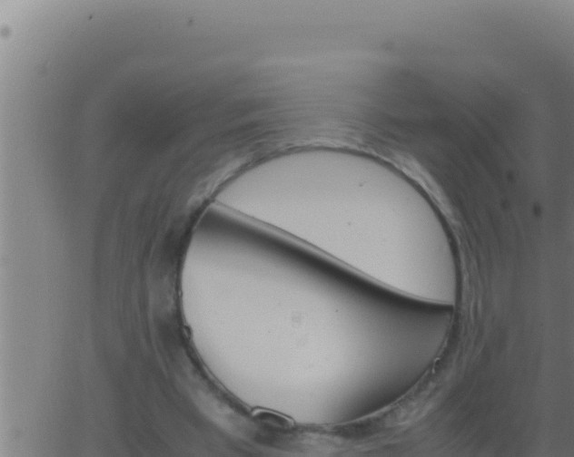 X0000062920393200601202007