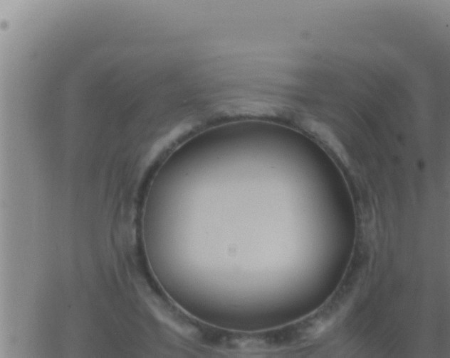 X0000062920395200601202007