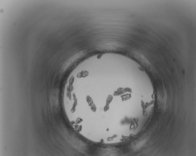 X0000062920396200601202007