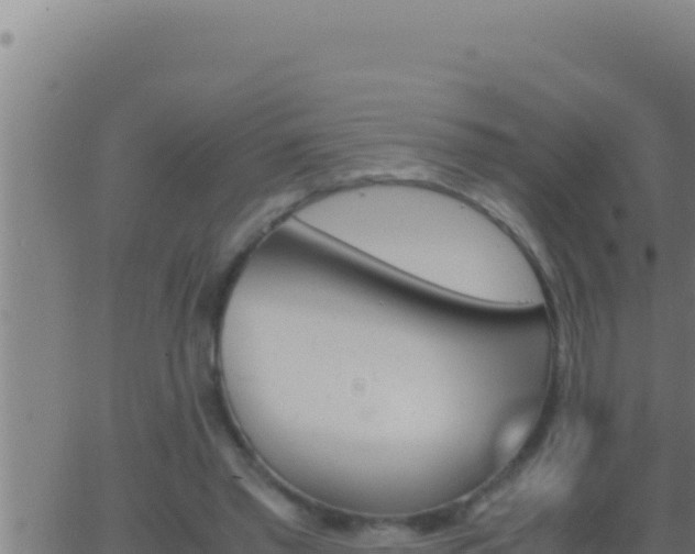 X0000062920397200601202007