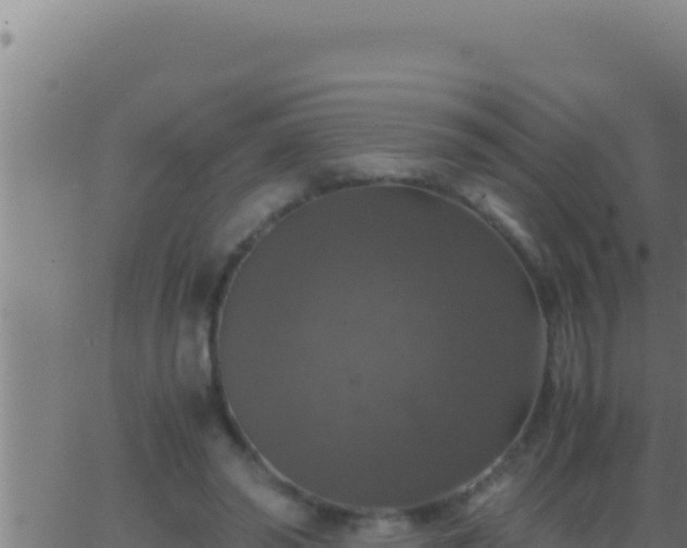 X0000062920398200601202007