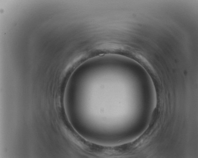 X0000062920399200601202007