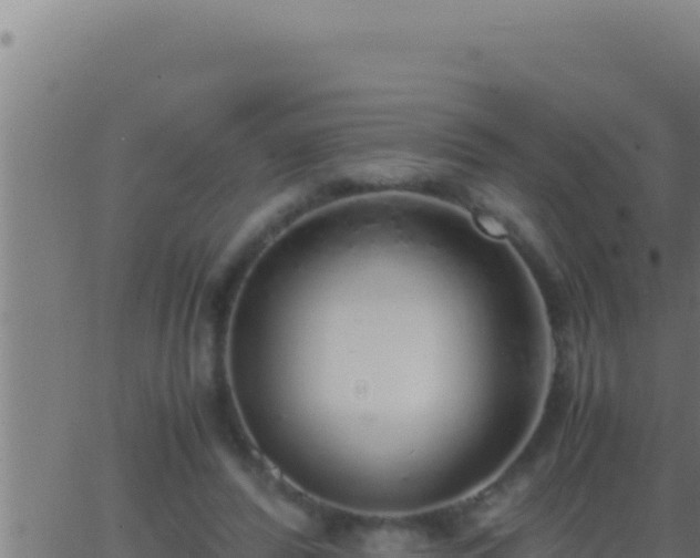 X0000062920400200601202007