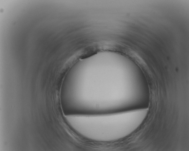 X0000062920401200601202007